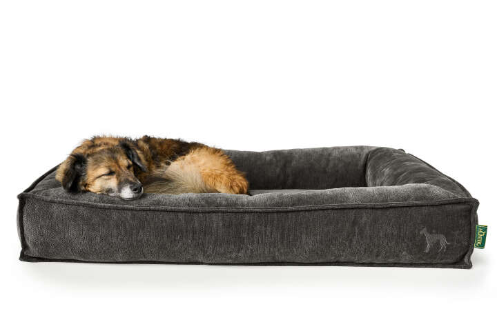 HUNTER Orthopädisches Hundebett Melun